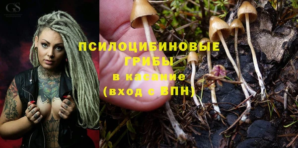 круглые Бородино