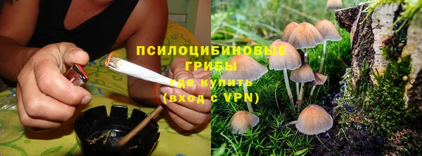 не бодяженный Бугульма