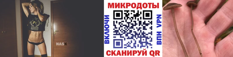 Купить  Кремёнки  Псилоцибиновые грибы мицелий 